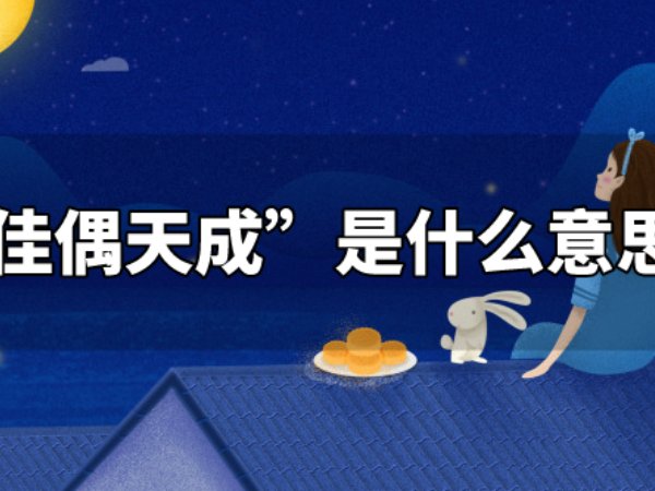 佳偶天成是什么意思