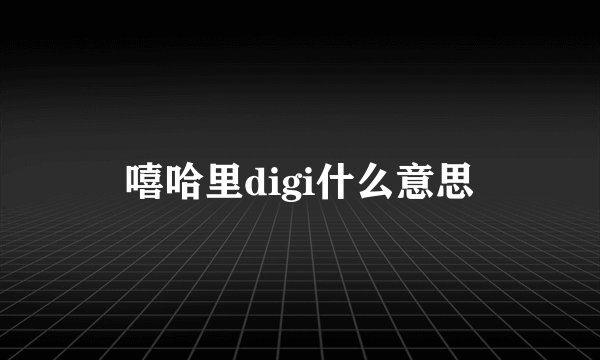 嘻哈里digi什么意思