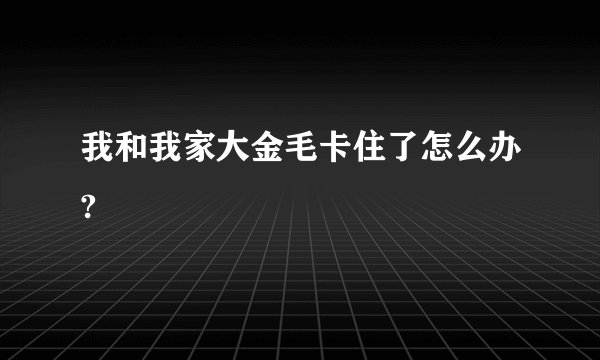 我和我家大金毛卡住了怎么办?