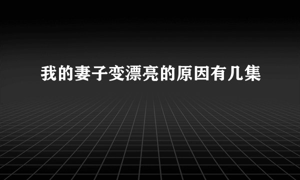 我的妻子变漂亮的原因有几集