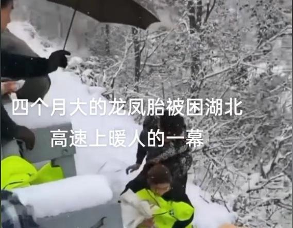4个月龙凤胎被困高速，众人接力。暴雪无情，人间有情。