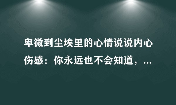 卑微到尘埃里的心情说说内心伤感：你永远也不会知道，背后的我忍