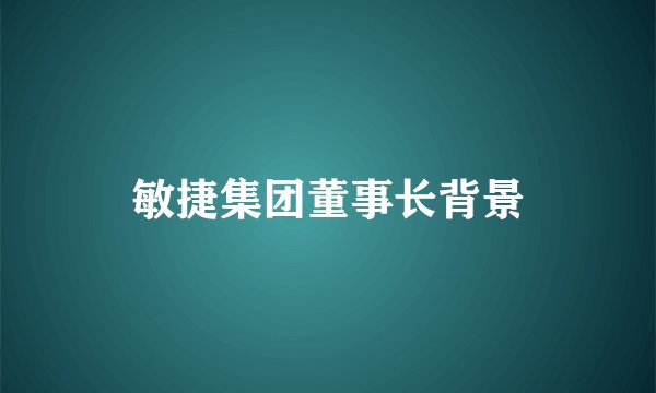 敏捷集团董事长背景