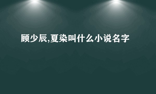 顾少辰,夏染叫什么小说名字