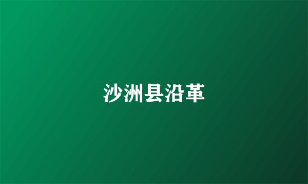 沙洲县沿革
