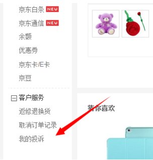 如何投诉京东第三方商家?