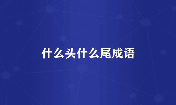什么头什么尾成语