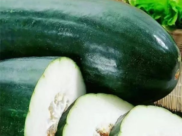 100种瓜类大全名称