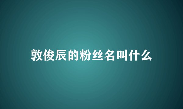 敦俊辰的粉丝名叫什么