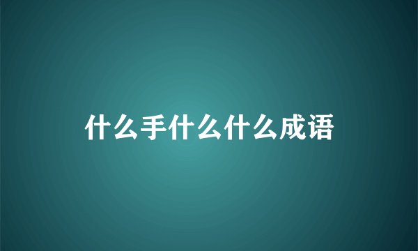 什么手什么什么成语