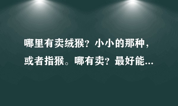 哪里有卖绒猴？小小的那种，或者指猴。哪有卖？最好能邮购，好的我加分，跪求多贵都行