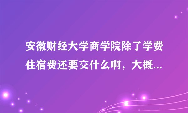 安徽财经大学商学院除了学费住宿费还要交什么啊，大概是多少？谢谢
