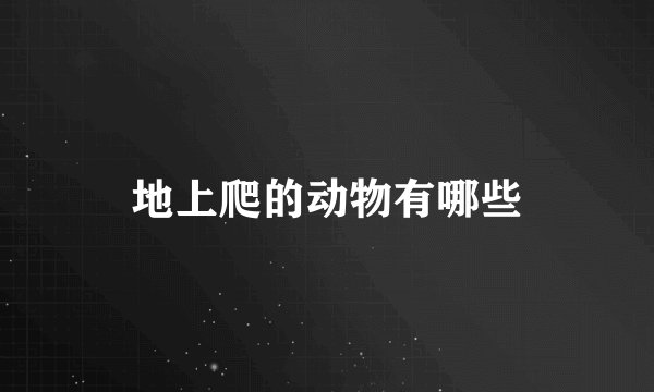 地上爬的动物有哪些