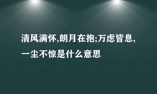 清风满怀,朗月在抱;万虑皆息,一尘不惊是什么意思