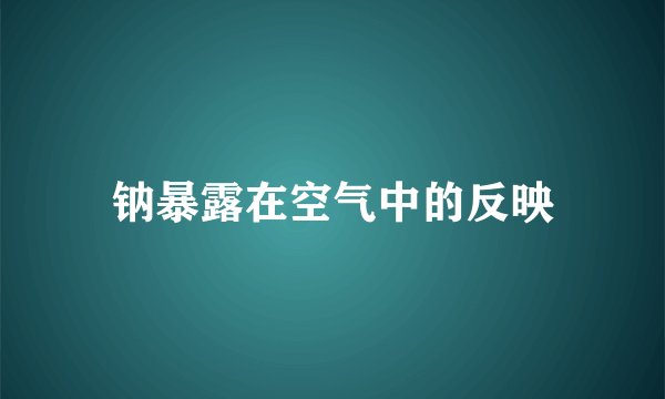 钠暴露在空气中的反映