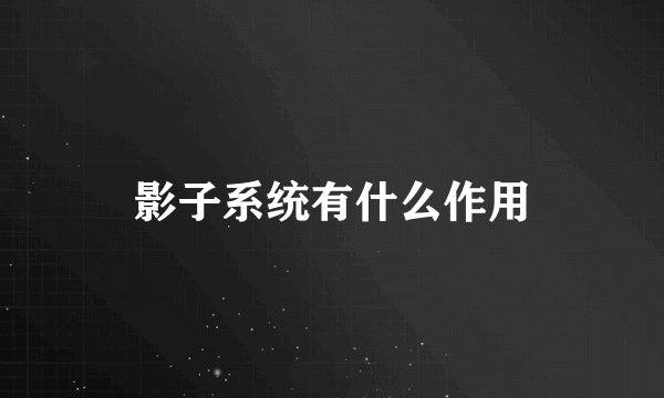 影子系统有什么作用