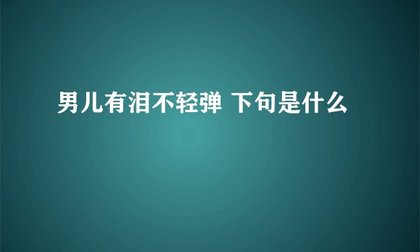 男儿有泪不轻弹 下句是什么