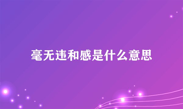 毫无违和感是什么意思