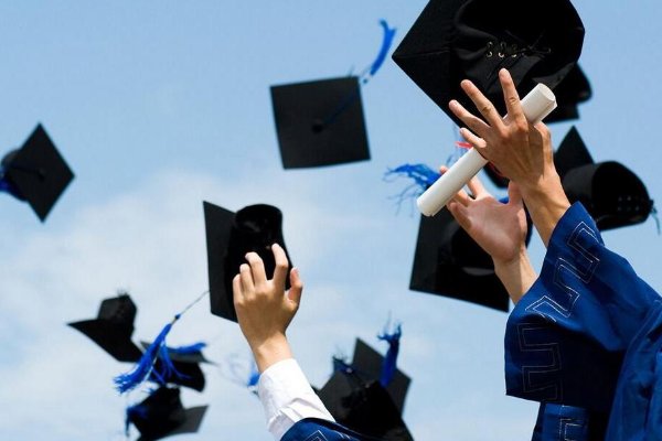 学位等级排行顺序