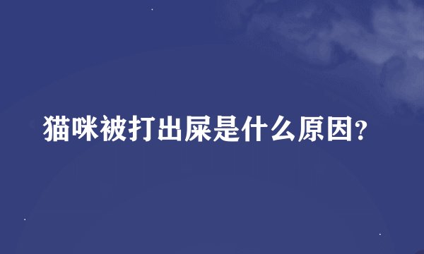 猫咪被打出屎是什么原因?