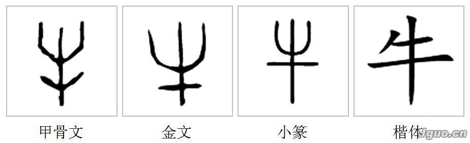 牛怎么读啊??