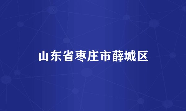 山东省枣庄市薛城区