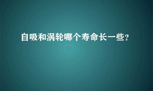 自吸和涡轮哪个寿命长一些?