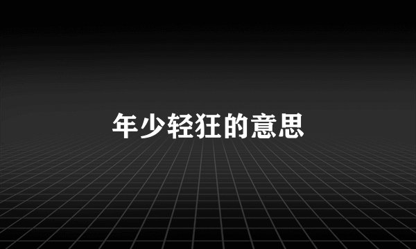 年少轻狂的意思