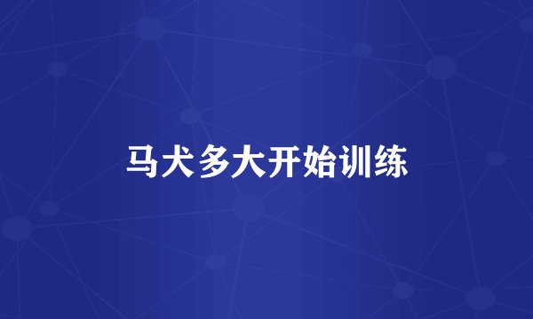 马犬多大开始训练