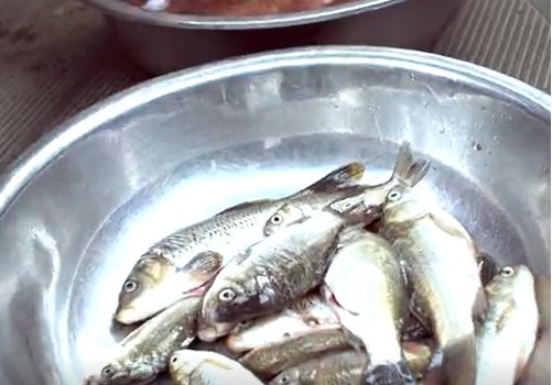 永年广府酥鱼怎么做好吃啊？