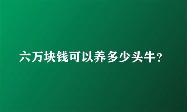 六万块钱可以养多少头牛？