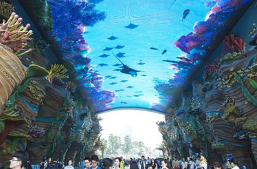 中国最大的海洋馆排名是怎么样的?