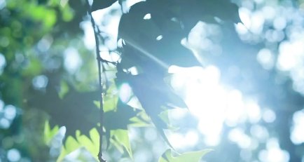 相同造句一年级