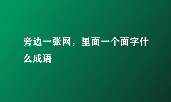 旁边一张网，里面一个面字什么成语