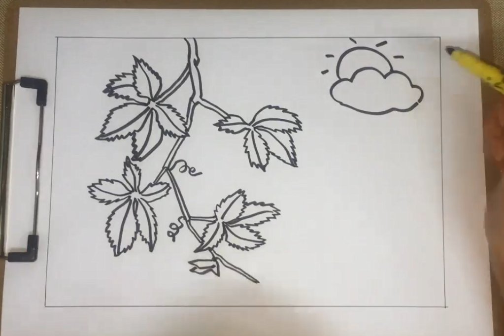 爬山虎的简笔画怎么画?