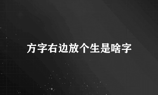 方字右边放个生是啥字