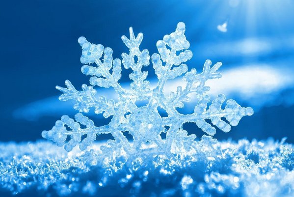 什么的雪花在空中飞舞着?