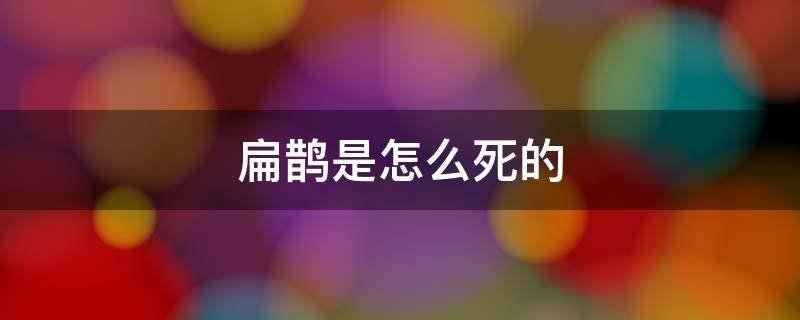 扁鹊是什么样死的？