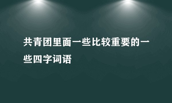 共青团里面一些比较重要的一些四字词语
