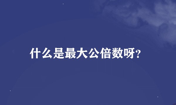 什么是最大公倍数呀？