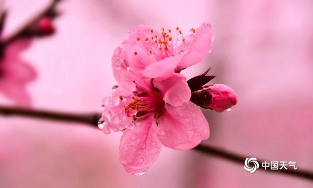 春光无限好的光指什么意思？