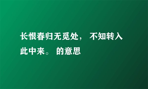 长恨春归无觅处， 不知转入此中来。 的意思