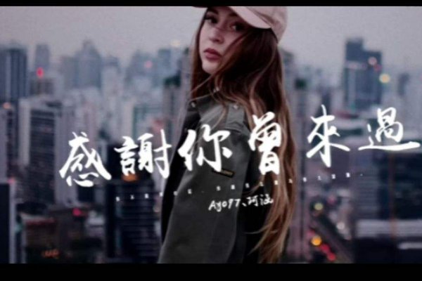 感谢你曾来过是哪首歌