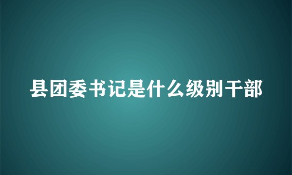 县团委书记是什么级别干部