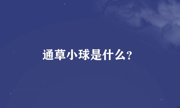 通草小球是什么？