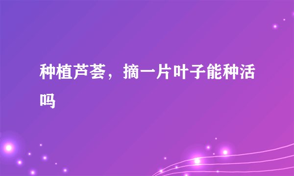 种植芦荟，摘一片叶子能种活吗