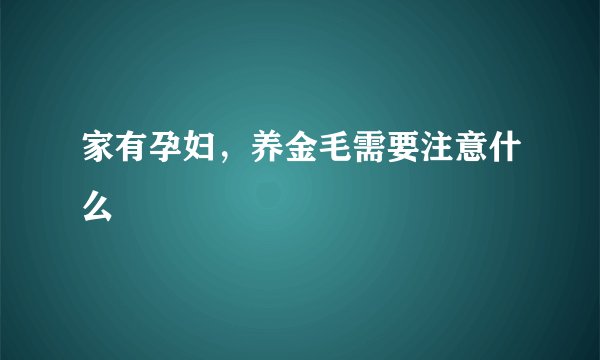 家有孕妇，养金毛需要注意什么