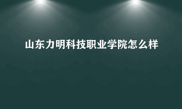 山东力明科技职业学院怎么样
