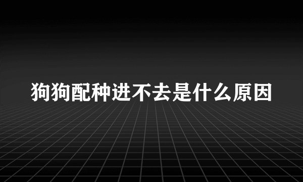 狗狗配种进不去是什么原因