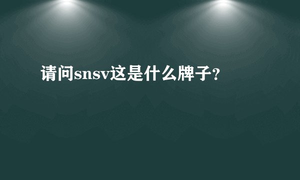 请问snsv这是什么牌子？